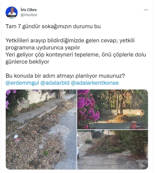 CHP'li Adalar Belediyesi çıldırttı!-100282