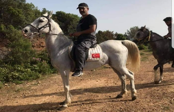 Adaların Atları Platformu’ndan CHP İlçe Başkanına eleştiri